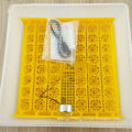 Popular Quail Egg Incubator Tray With Sturdy